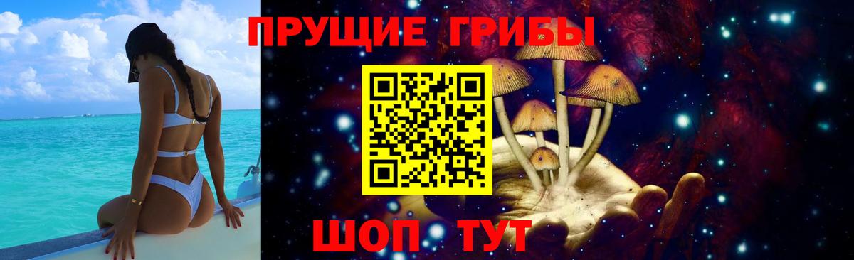 Кушва  Галлюциногенные грибы Psilocybe  Вход с VPN  Галлюциногенные грибы Psilocybe 